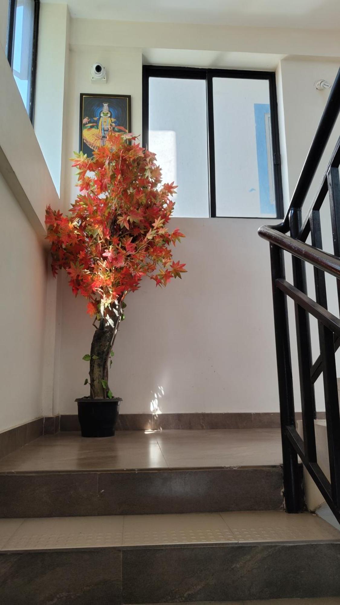 Masterkey Deluxe Rooms Kochi 외부 사진